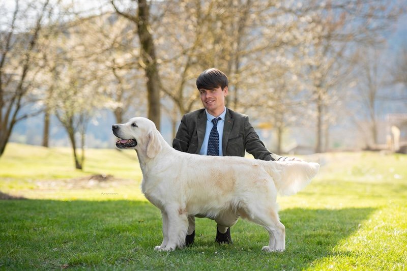 INTERNATIONAL SHOW BARJE (SLOVENIA)