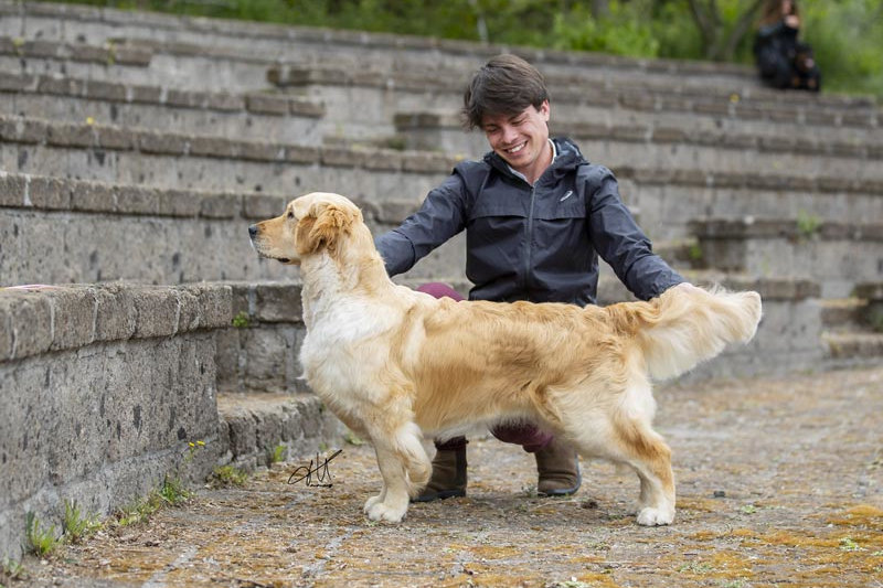Ch. OLVINGLAY LOVE LOVE LOVE AT SHIVA’S “Love” – Italian Champion