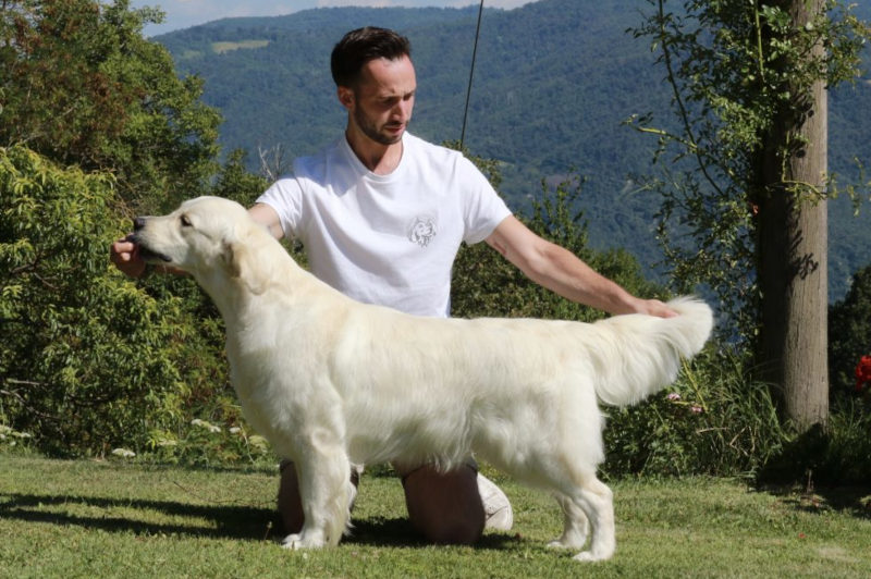 OLVINGLAY HAUTE COUTURE “Rea”
