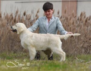 Foto 4 di Olvinglay Visionaire