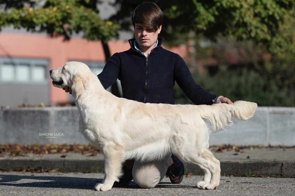 Foto di Dewmist Dioressenza