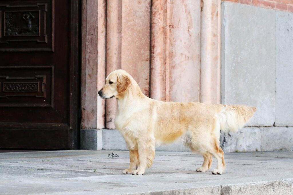 Foto di Primavera in Anticipo della Val d’Aveto
